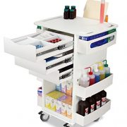 TrippNT-51007-Polyethylene-Core-DX-Multi-Tasking-Deluxe-Locking-Medical-Cart-with-Clear-PETG-Door-150-lbs-capacity-23-Width-x-35-Height-x-19-Depth-6-Shelves-0-2